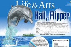 DolphinPage1