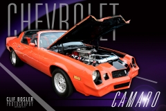 camaro_3622967181_o